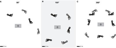 Slowing gait during turning: how volition of modifying walking speed affects the gait pattern in healthy adults